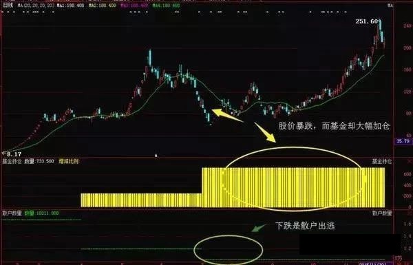 股票怎么看进出_怎么才能看到牛散的股票进出情况_散户进出指标