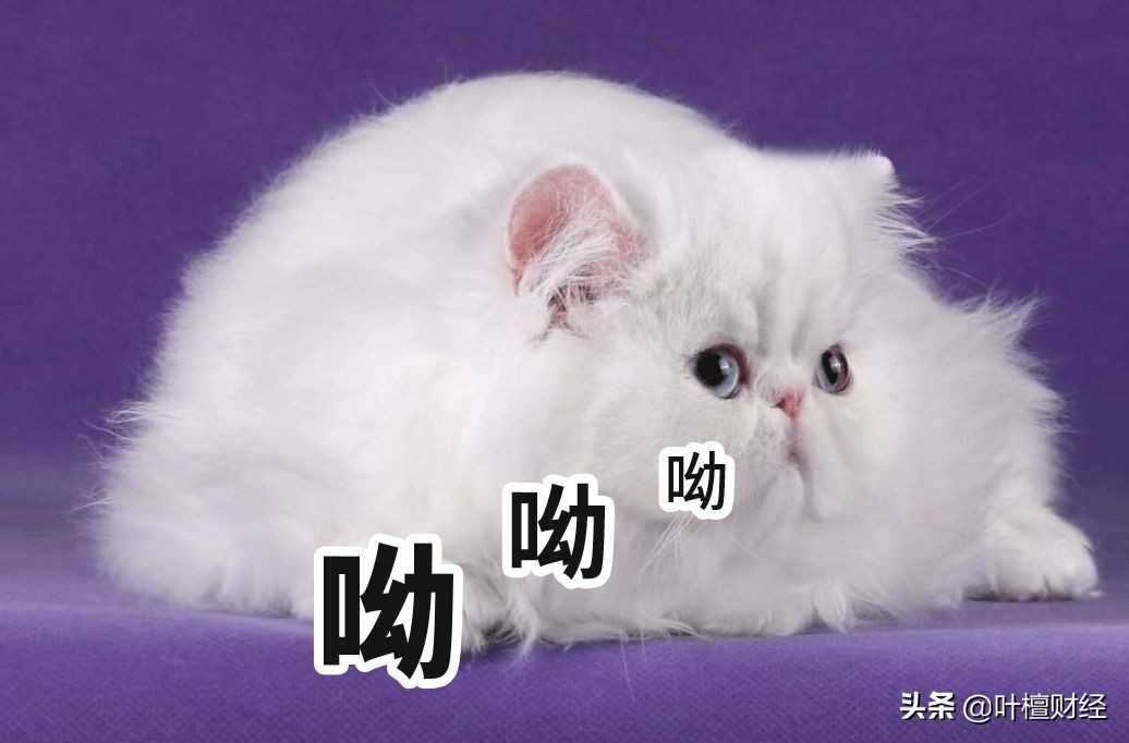 _ 银行理财子公司入市政策 _股票 加杠杆