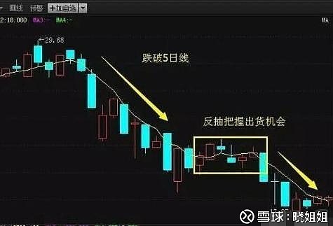 5日均线选股技巧_牛熊市五周均线都有效_牛蛙效应股市应用