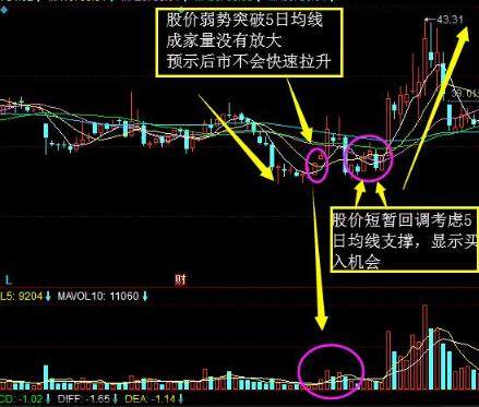 中国股市唯一百试百灵的均线定律——五日不破，不必操作！仅8字，但字字斗金！