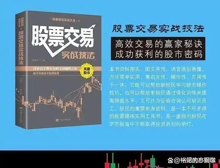 炒股把握时机策略_炒股怎么赚钱_炒股换手率特征