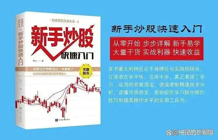 炒股把握时机策略_炒股怎么赚钱_炒股换手率特征