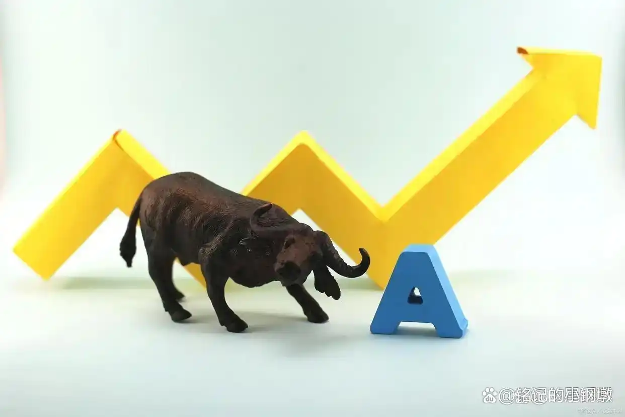 炒股把握时机策略_炒股怎么赚钱_炒股换手率特征