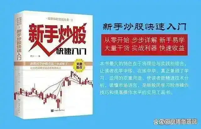 股票交易纪律_炒股怎么赚钱_长期持有股票