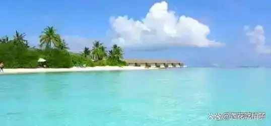 股票交易纪律_长期持有股票_炒股怎么赚钱