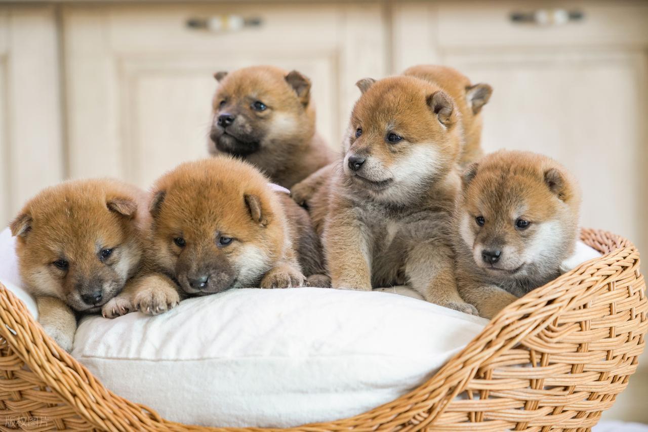 轻资产创业项目_现在零元的做代理致富_个人小生意创业