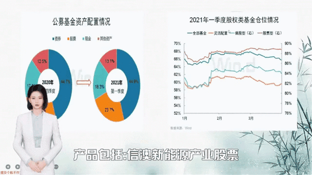 基金资产配置策略解析:动态调整实现增值,互联网+主题界定与选择 基金资产配置策略解析:动态调整实现增值,互联网+主题界定与选择