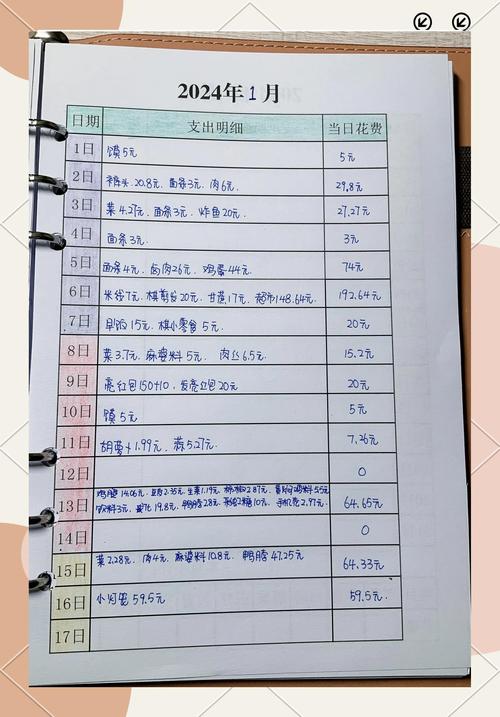 我家理财账本：一天开销545元，孩子当家才知钱去哪了