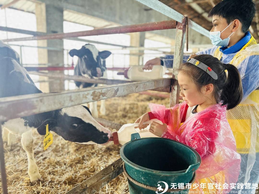 无锡天资奶牛场研学_无锡有没有,牛奶代理商_江阴天资牧场一日游