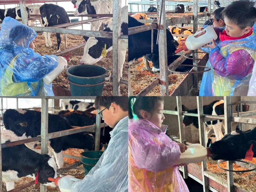 无锡天资奶牛场研学_江阴天资牧场一日游_无锡有没有,牛奶代理商
