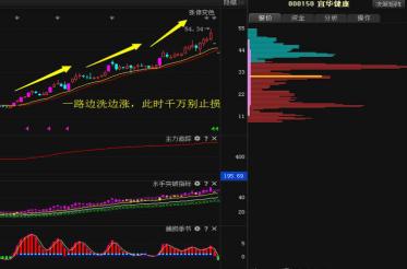 股票止损点一般多少_止盈止损策略_鳄鱼法则