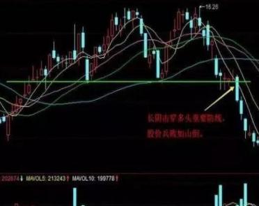 鳄鱼法则_止盈止损策略_股票止损点一般多少