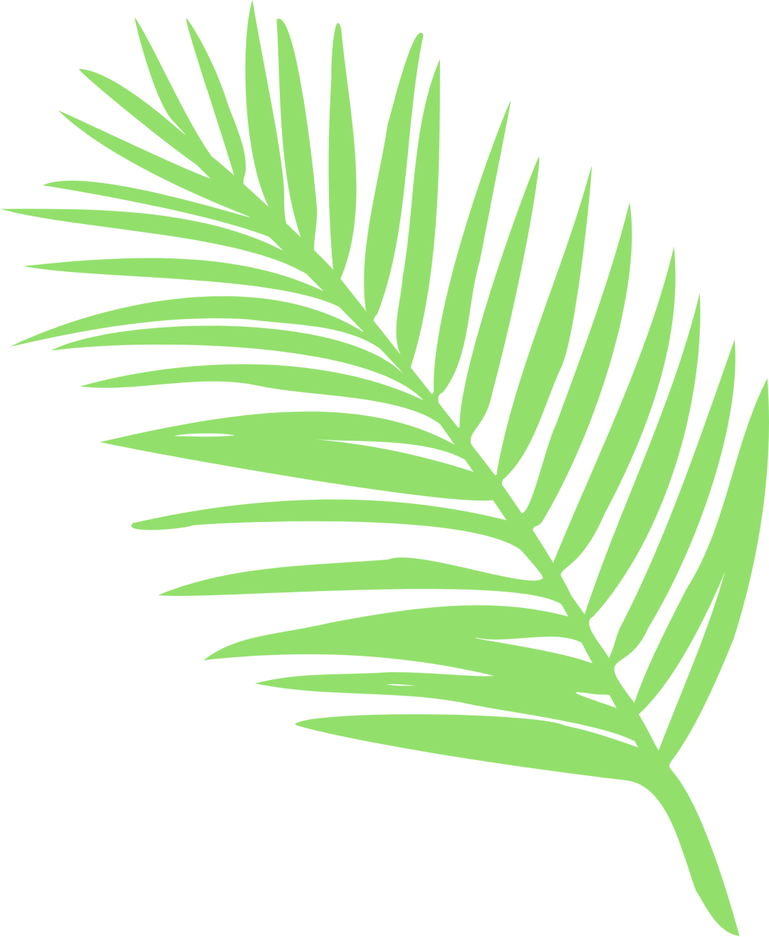 非法集资常见形式_非法金融活动特征_免费旅游骗局理财