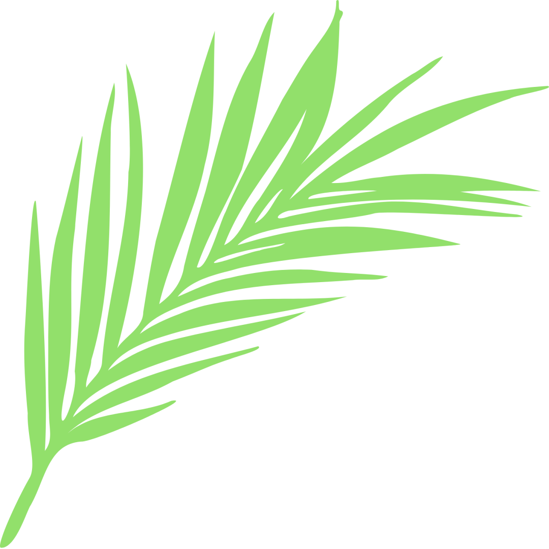 免费旅游骗局理财_非法金融活动特征_非法集资常见形式