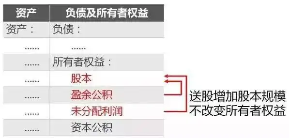 股票分红时间及到账规则，深市沪市流程全解析