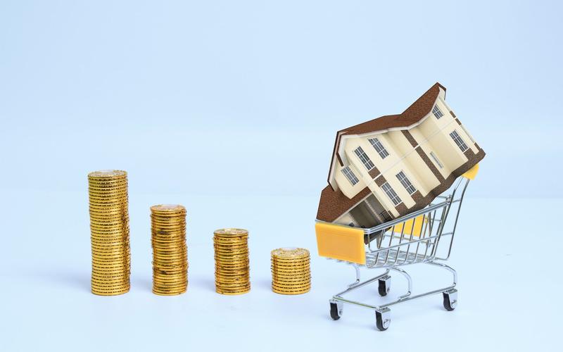 天载配资 “
白衣骑士”策划了反对资本分配的危险