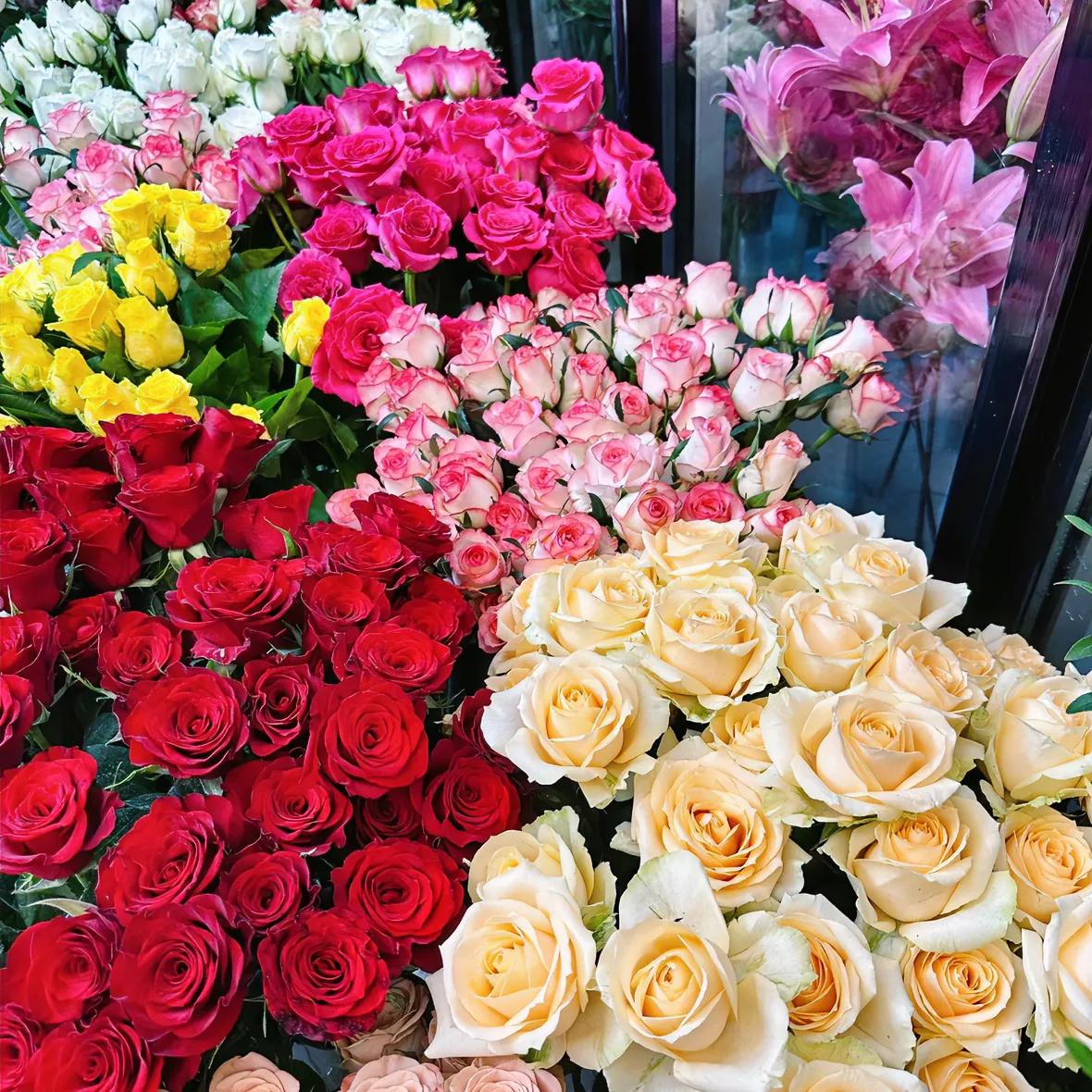 低成本创业项目_现在做啥项目赚钱_800元启动小生意