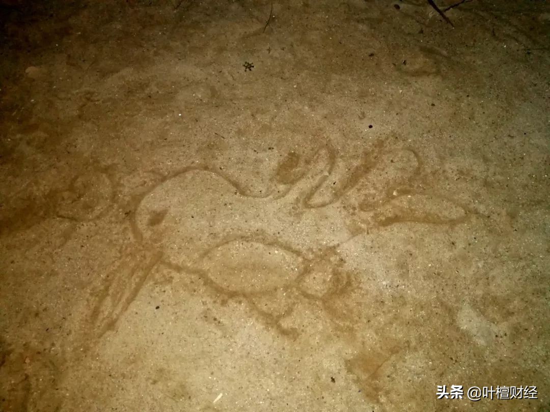 诺亚财富承兴事件_诺亚财富踩雷事件分析_信誉好的理财公司