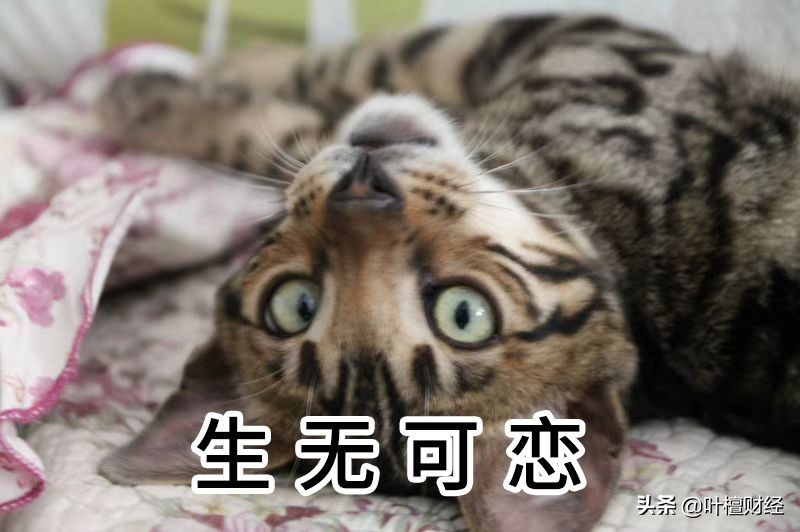 信誉好的理财公司_诺亚财富承兴事件_诺亚财富踩雷事件分析