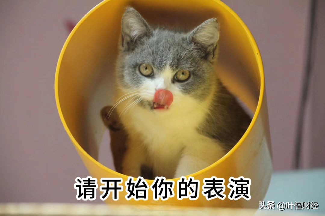 诺亚财富承兴事件_诺亚财富踩雷事件分析_信誉好的理财公司