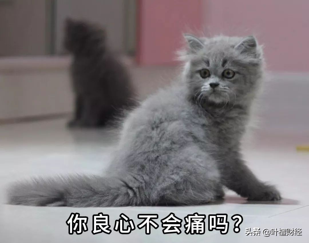 诺亚财富踩雷事件分析_诺亚财富承兴事件_信誉好的理财公司