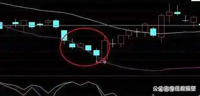 交易人性心理分析_克服交易心理障碍_股票怎么玩