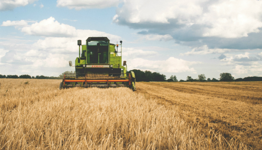 理财直播 荐股大师 杀猪盘骗局_傻瓜理财直播