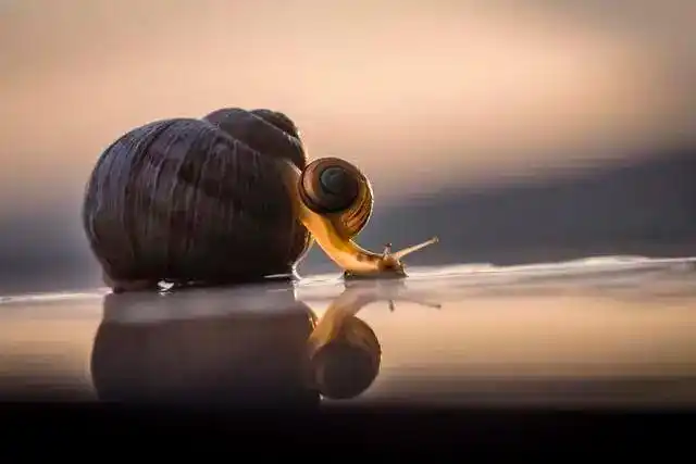 炒股必知把控风险及时止损要点，附割肉卖出8要素