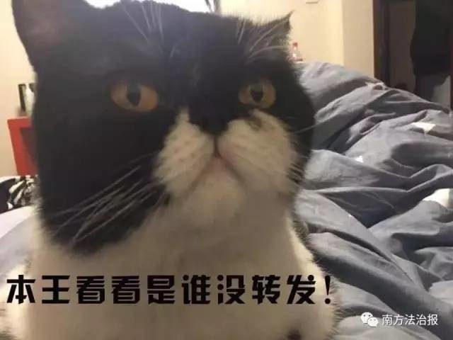 高回报投资与理财项目_投资返利网络诈骗案例_广州警方打掉投资返利网络诈骗团伙