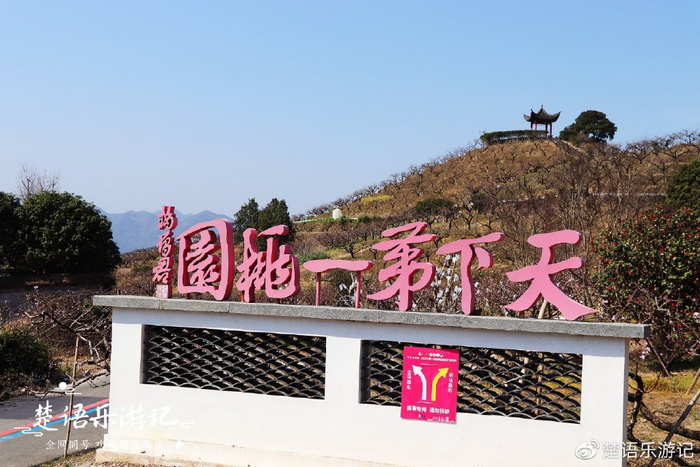 奉化天下第一桃园门票_天下第一桃园 林家村古村落 奉化桃花节