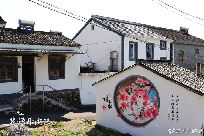 天下第一桃园 林家村古村落 奉化桃花节_奉化天下第一桃园门票