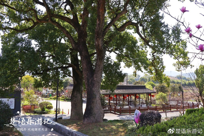 天下第一桃园 林家村古村落 奉化桃花节_奉化天下第一桃园门票