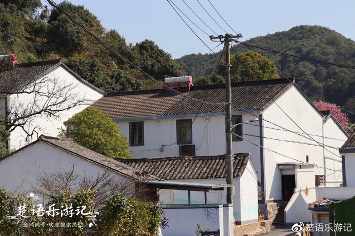 天下第一桃园 林家村古村落 奉化桃花节_奉化天下第一桃园门票