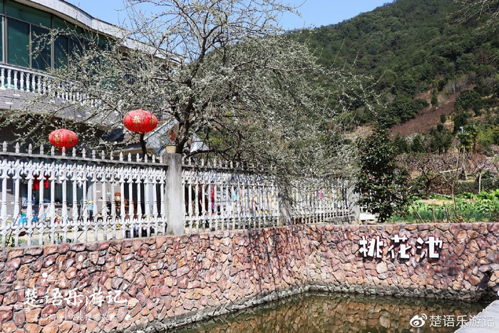 奉化天下第一桃园门票_天下第一桃园 林家村古村落 奉化桃花节