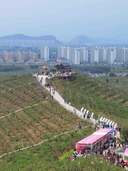 奉化天下第一桃园门票_宁波景区排队_宁波乡村赏花旅游