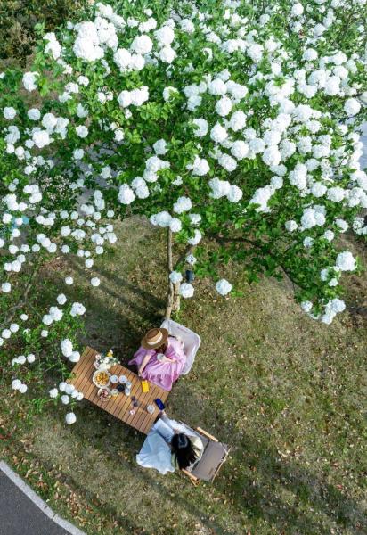 奉化天下第一桃园门票_宁波景区排队_宁波乡村赏花旅游