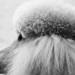 完不成业绩合理惩罚_员工未完成业绩怎么惩罚_完不成业绩体罚员工违法