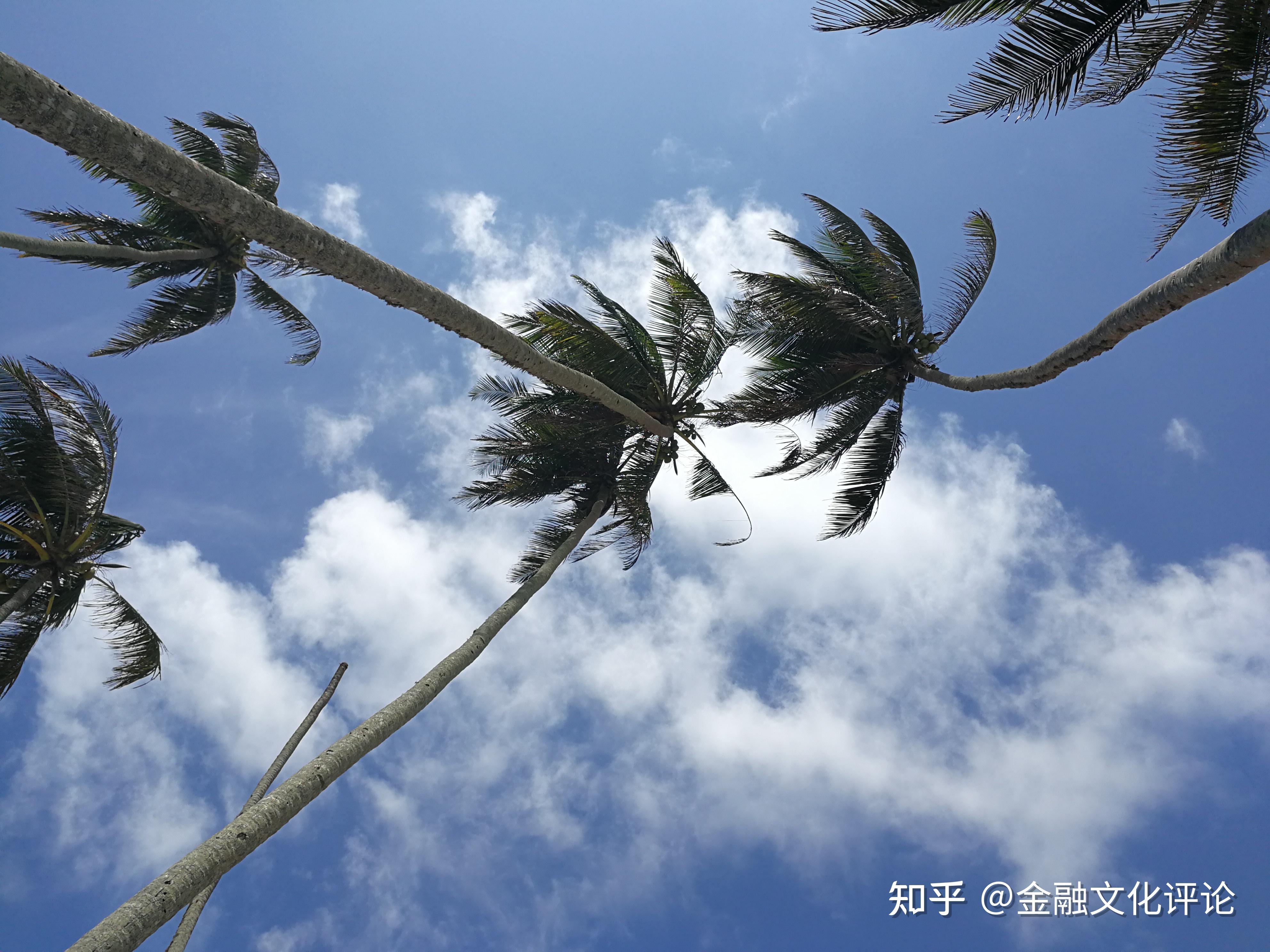 理财产品安全吗_买保本的理财安全吗_哪种理财产品适合老百姓