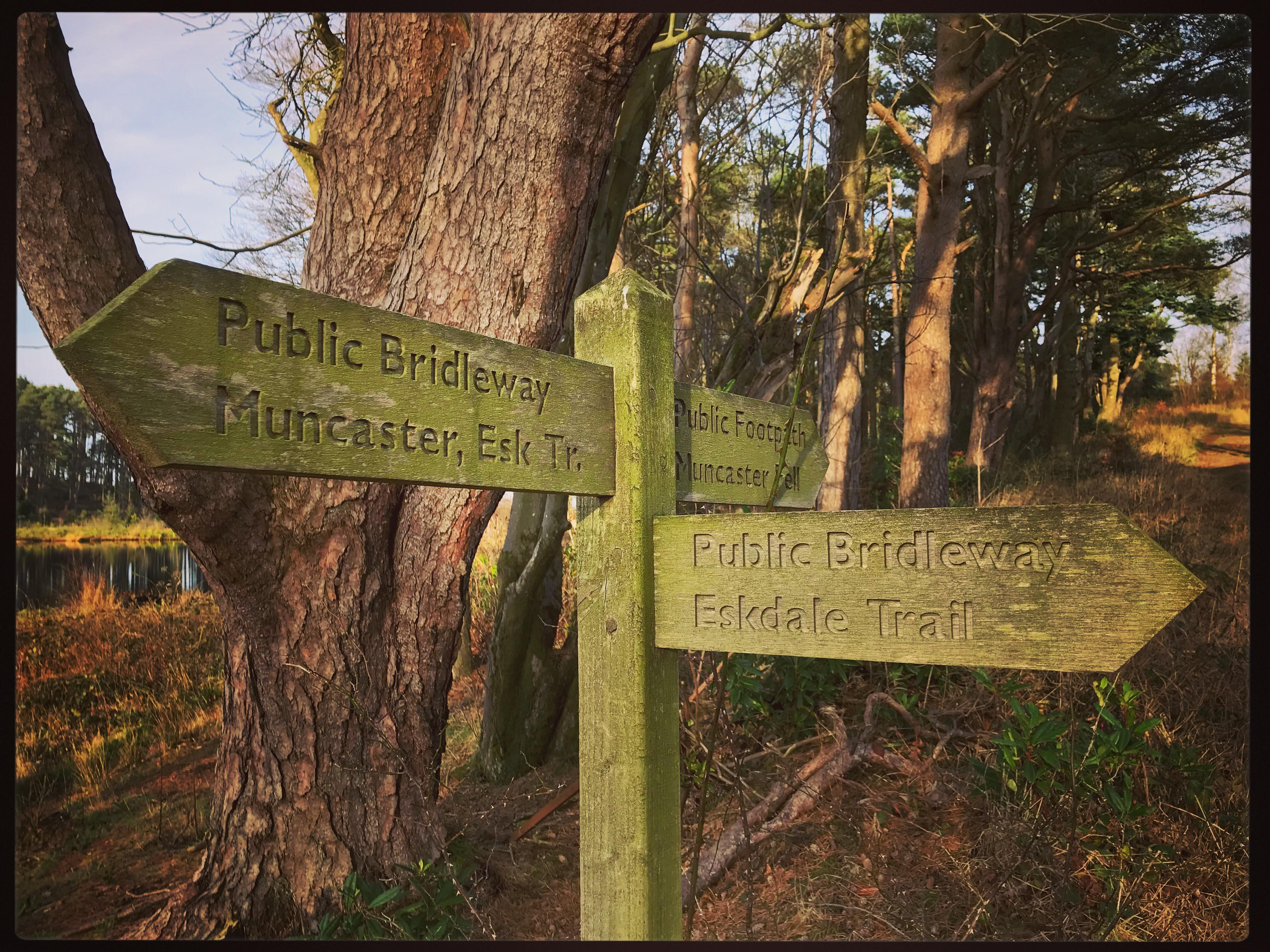 A股牛熊历史分析_中国历次牛市时间_估值与政策对市场走势的影响