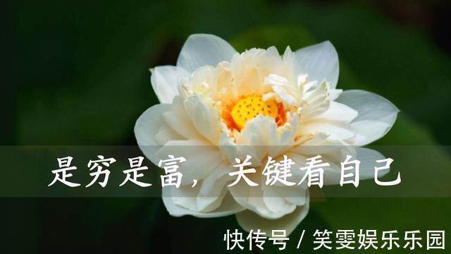 配资炒股公司_股票配资平台选择_配资炒股心态