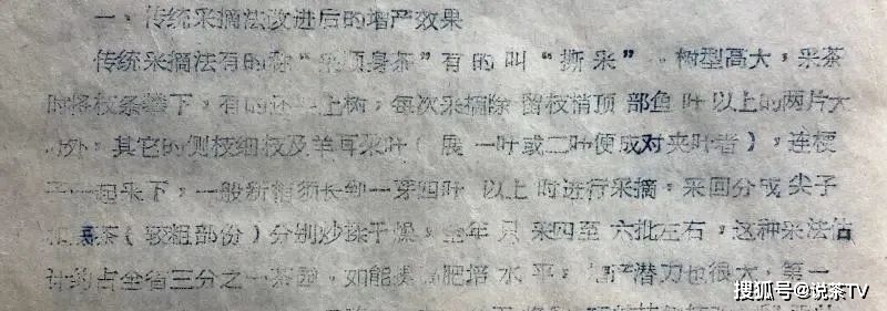 印级茶历史_中国茶叶出口公司_大圆普洱综述