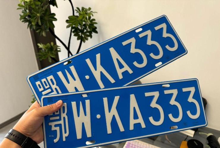 车牌归属地查询工具：快速精准查车牌代码，两步搞定