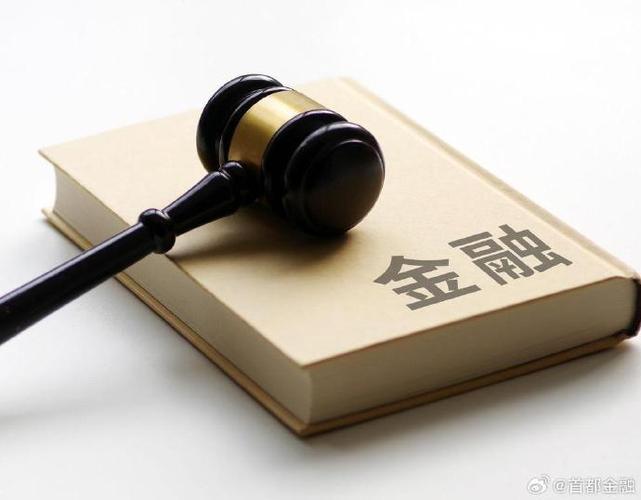 金融法草案 投资人保护制度 长期投资安全_掏空行为与投资者保护