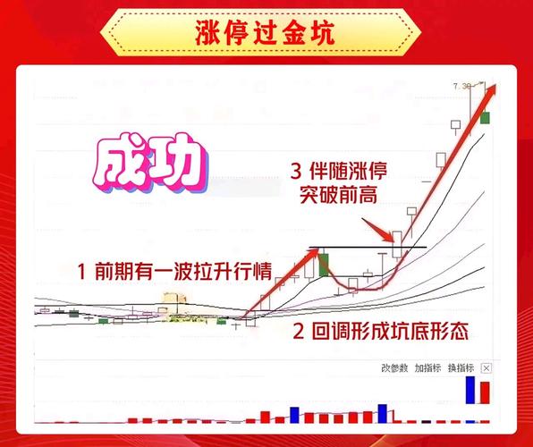 股票入门基础概念_炒股股票配资_股票新手避坑指南