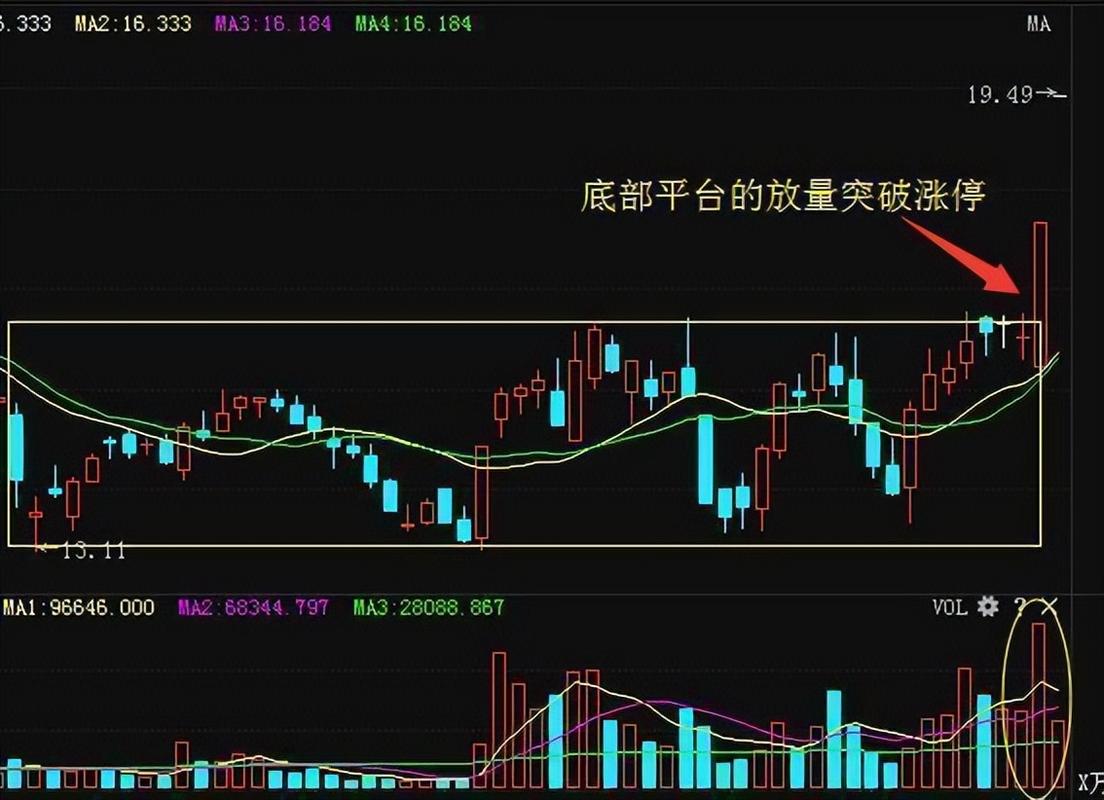 草根交易员选股逻辑_手机公式选股_散户选股标准